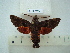  ( - BC-EST0584)  @12 [ ] Copyright (2010) Unspecified Research Collection of Yves Estradel