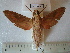  ( - BC-EST0474)  @13 [ ] Copyright (2010) Unspecified Research Collection of Yves Estradel