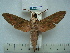  ( - BC-EST0483)  @13 [ ] Copyright (2010) Unspecified Research Collection of Yves Estradel