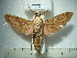  ( - BC-EST0488)  @14 [ ] Copyright (2010) Unspecified Research Collection of Yves Estradel