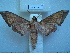  ( - BC-EST0497)  @13 [ ] Copyright (2010) Unspecified Research Collection of Yves Estradel