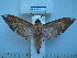  ( - BC-EST0500)  @13 [ ] Copyright (2010) Unspecified Research Collection of Yves Estradel