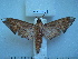  ( - BC-EST0501)  @13 [ ] Copyright (2010) Unspecified Research Collection of Yves Estradel