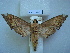  ( - BC-EST0510)  @13 [ ] Copyright (2010) Unspecified Research Collection of Yves Estradel