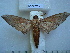  ( - BC-EST0514)  @13 [ ] Copyright (2010) Unspecified Research Collection of Yves Estradel