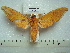  ( - BC-EST0518)  @14 [ ] Copyright (2010) Unspecified Research Collection of Yves Estradel