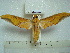  ( - BC-EST0529)  @13 [ ] Copyright (2010) Unspecified Research Collection of Yves Estradel