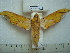  ( - BC-EST0530)  @13 [ ] Copyright (2010) Unspecified Research Collection of Yves Estradel