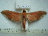  ( - BC-EST0543)  @13 [ ] Copyright (2010) Unspecified Research Collection of Yves Estradel