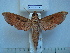  ( - BC-EST0549)  @13 [ ] Copyright (2010) Unspecified Research Collection of Yves Estradel