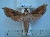  ( - BC-EST0559)  @13 [ ] Copyright (2010) Unspecified Research Collection of Yves Estradel