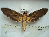  ( - BC-EST0560)  @14 [ ] Copyright (2010) Unspecified Research Collection of Yves Estradel