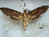  ( - BC-EST0561)  @14 [ ] Copyright (2010) Unspecified Research Collection of Yves Estradel