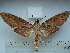  ( - BC-EST0578)  @14 [ ] Copyright (2010) Unspecified Research Collection of Yves Estradel