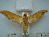  ( - BC-EST0588)  @13 [ ] Copyright (2010) Unspecified Research Collection of Yves Estradel