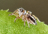  ( - BIOUG46672-B09)  @11 [ ] CC0 (2023) Unspecified Unspecified