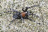  ( - BIOUG46369-C04)  @11 [ ] CC0 (2021) Unspecified Unspecified