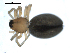  ( - BIOUG00164-A07)  @12 [ ] CC-0  G. Blagoev 2010 Unspecified