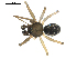  ( - BIOUG00164-C05)  @12 [ ] CC-0  G. Blagoev 2010 Unspecified