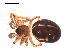  ( - BIOUG00164-D03)  @12 [ ] CC-0  G. Blagoev 2010 Unspecified