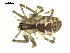  ( - BIOUG00164-E12)  @13 [ ] CC-0  G. Blagoev 2010 Unspecified