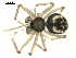  ( - BIOUG00164-F09)  @13 [ ] CC-0  G. Blagoev 2010 Unspecified