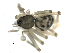  ( - BIOUG00164-G03)  @12 [ ] CC-0  G. Blagoev 2010 Unspecified