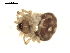  ( - BIOUG00164-G10)  @12 [ ] CC-0  G. Blagoev 2010 Unspecified