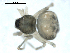  ( - BIOUG00164-H02)  @12 [ ] CC-0  G. Blagoev 2010 Unspecified