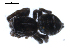  ( - BIOUG00165-B07)  @12 [ ] CC-0  G. Blagoev 2010 Unspecified