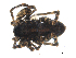  ( - BIOUG00165-C08)  @12 [ ] CC-0  G. Blagoev 2010 Unspecified