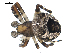  ( - BIOUG00165-E07)  @13 [ ] CC-0  G. Blagoev 2010 Unspecified