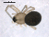  ( - BIOUG00165-H08)  @12 [ ] CC-0  G. Blagoev 2010 Unspecified