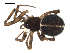  ( - BIOUG00166-A04)  @12 [ ] CC-0  G. Blagoev 2010 Unspecified