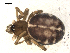  ( - BIOUG00166-A10)  @12 [ ] CC-0  G. Blagoev 2010 Unspecified