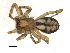  ( - BIOUG00166-A12)  @12 [ ] CC-0  G. Blagoev 2010 Unspecified