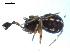  ( - BIOUG00166-B11)  @12 [ ] CC-0  G. Blagoev 2010 Unspecified