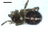  ( - BIOUG00166-B12)  @12 [ ] CC-0  G. Blagoev 2010 Unspecified