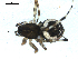  ( - BIOUG00166-C01)  @12 [ ] CC-0  G. Blagoev 2010 Unspecified