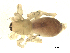  ( - BIOUG00166-E10)  @12 [ ] CC-0  G. Blagoev 2010 Unspecified