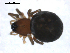  ( - BIOUG00167-A04)  @12 [ ] CC-0  G. Blagoev 2010 Unspecified