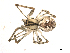  ( - BIOUG00167-A07)  @13 [ ] CC-0  G. Blagoev 2010 Unspecified