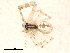  ( - BIOUG00168-B07)  @13 [ ] CC-0  G. Blagoev 2010 Unspecified