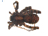  ( - BIOUG00170-C11)  @12 [ ] CC-0  G. Blagoev 2010 Unspecified