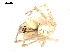  ( - BIOUG00509-B05)  @13 [ ] CC-0  G. Blagoev 2010 Unspecified