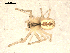  ( - BIOUG00509-E03)  @13 [ ] CC-0  G. Blagoev 2010 Unspecified