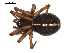  ( - BIOUG00510-C10)  @12 [ ] CC-0  G. Blagoev 2010 Unspecified