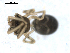  ( - BIOUG00510-E09)  @12 [ ] CC-0  G. Blagoev 2010 Unspecified