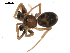  ( - BIOUG00510-F02)  @12 [ ] CC-0  G. Blagoev 2010 Unspecified