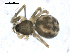  ( - BIOUG00510-F12)  @12 [ ] CC-0  G. Blagoev 2010 Unspecified